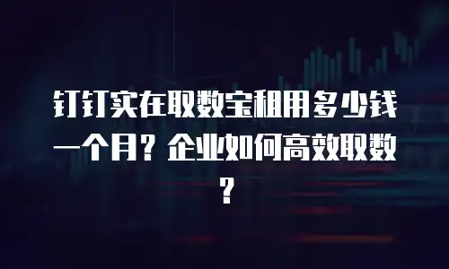 钉钉实在取数宝租用多少钱一个月？企业如何高效取数？
