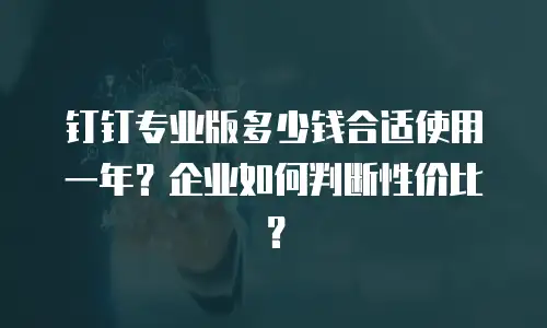 钉钉专业版多少钱合适使用一年？企业如何判断性价比？