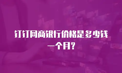 钉钉网商银行价格是多少钱一个月？