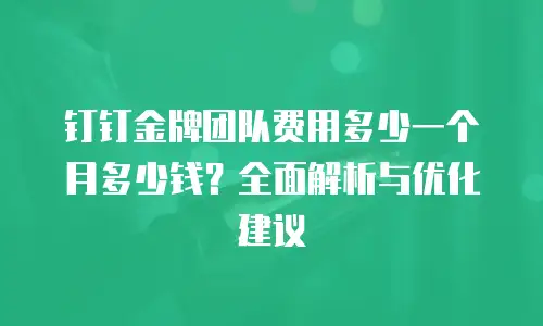 钉钉金牌团队费用多少一个月多少钱？全面解析与优化建议