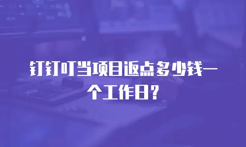 钉钉叮当项目返点多少钱一个工作日？