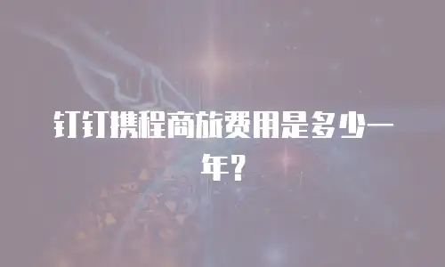 钉钉携程商旅费用是多少一年？