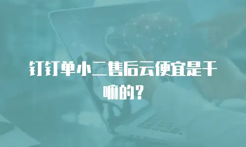 钉钉单小二售后云便宜是干嘛的？