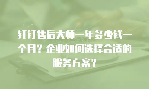 钉钉售后大师一年多少钱一个月？企业如何选择合适的服务方案？