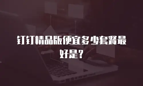 钉钉精品版便宜多少套餐最好是？
