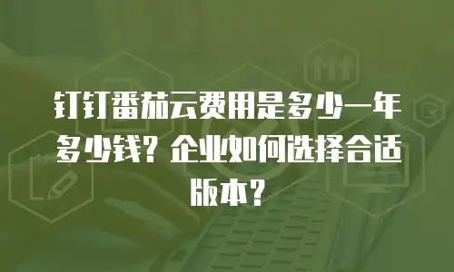 钉钉番茄云费用是多少一年多少钱？企业如何选择合适版本？