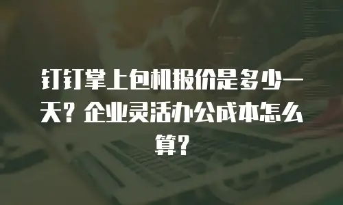 钉钉掌上包机报价是多少一天？企业灵活办公成本怎么算？