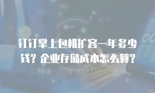 钉钉掌上包机扩容一年多少钱？企业存储成本怎么算？