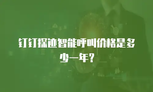 钉钉探迹智能呼叫价格是多少一年？