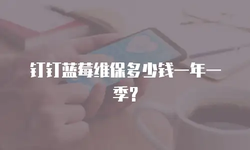 钉钉蓝莓维保多少钱一年一季？