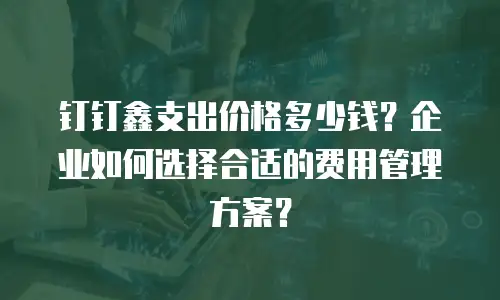 钉钉鑫支出价格多少钱？企业如何选择合适的费用管理方案？