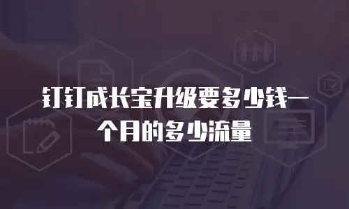 钉钉成长宝升级要多少钱一个月的多少流量