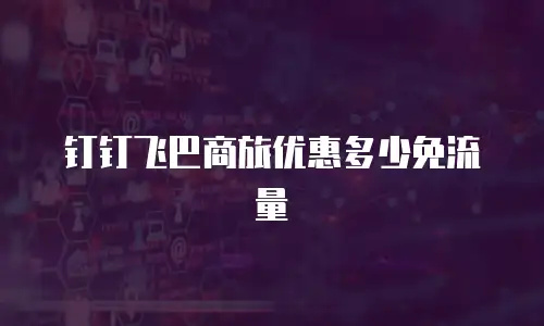 钉钉飞巴商旅优惠多少免流量