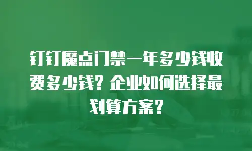 钉钉魔点门禁一年多少钱收费多少钱？企业如何选择最划算方案？