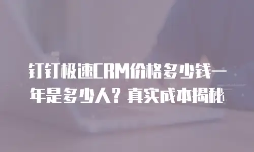 钉钉极速CRM价格多少钱一年是多少人？真实成本揭秘
