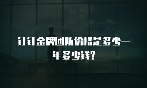 钉钉金牌团队价格是多少一年多少钱？