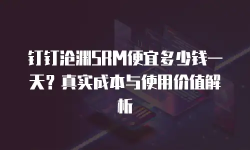 钉钉沧渊SRM便宜多少钱一天？真实成本与使用价值解析