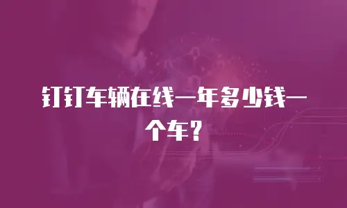 钉钉车辆在线一年多少钱一个车？