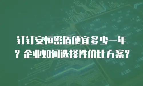 钉钉安恒密盾便宜多少一年？企业如何选择性价比方案？