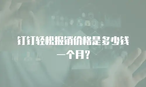 钉钉轻松报销价格是多少钱一个月？