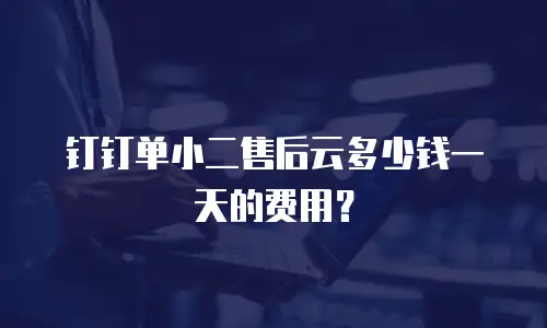 钉钉单小二售后云多少钱一天的费用？