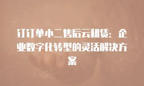 钉钉单小二售后云租赁：企业数字化转型的灵活解决方案