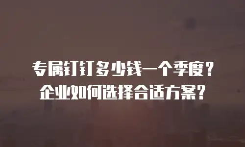 专属钉钉多少钱一个季度？企业如何选择合适方案？