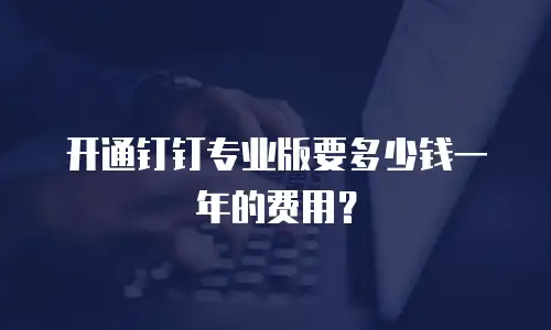 开通钉钉专业版要多少钱一年的费用？