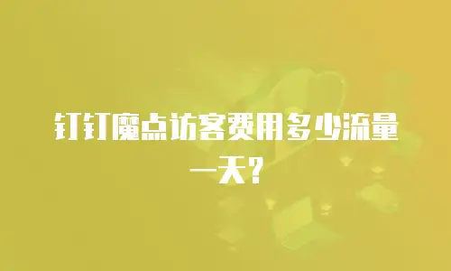 钉钉魔点访客费用多少流量一天？
