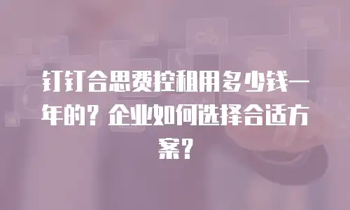钉钉合思费控租用多少钱一年的？企业如何选择合适方案？