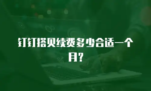 钉钉搭贝续费多少合适一个月？