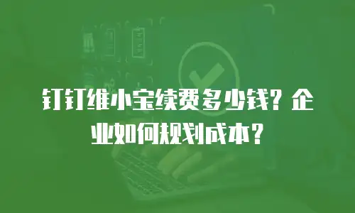 钉钉维小宝续费多少钱？企业如何规划成本？