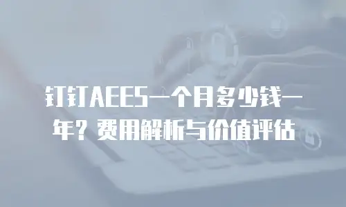 钉钉AEES一个月多少钱一年？费用解析与价值评估