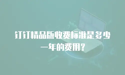 钉钉精品版收费标准是多少一年的费用？