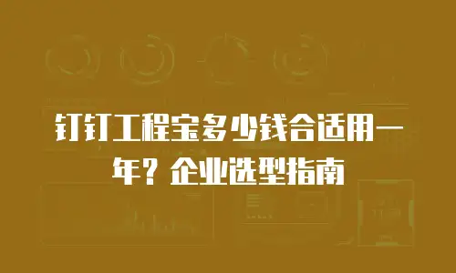 钉钉工程宝多少钱合适用一年？企业选型指南