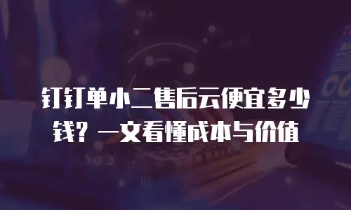钉钉单小二售后云便宜多少钱？一文看懂成本与价值