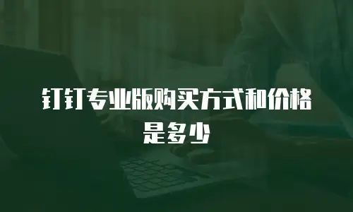 钉钉专业版购买方式和价格是多少