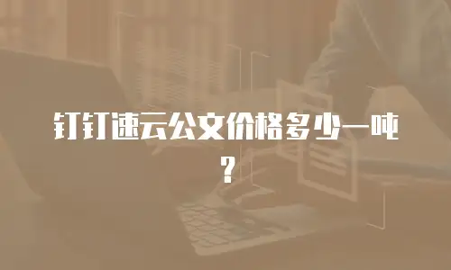 钉钉速云公文价格多少一吨？