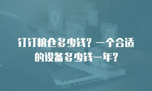 钉钉粮仓多少钱？一个合适的设备多少钱一年？