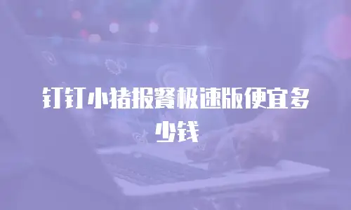 钉钉小猪报餐极速版便宜多少钱