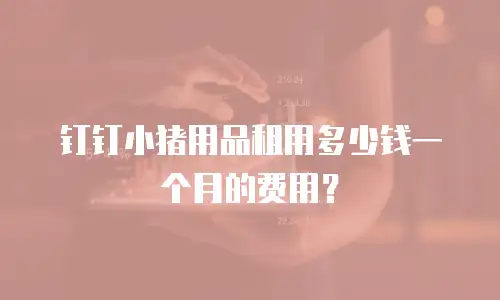 钉钉小猪用品租用多少钱一个月的费用？