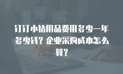钉钉小猪用品费用多少一年多少钱？企业采购成本怎么算？