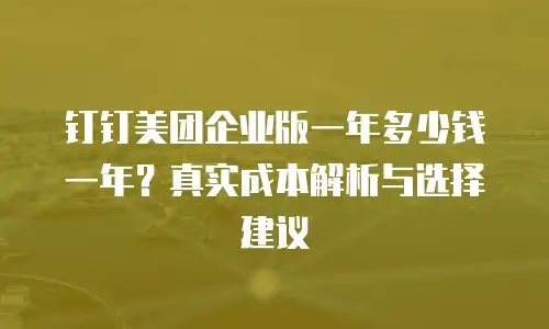 钉钉美团企业版一年多少钱一年？真实成本解析与选择建议