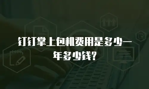 钉钉掌上包机费用是多少一年多少钱？