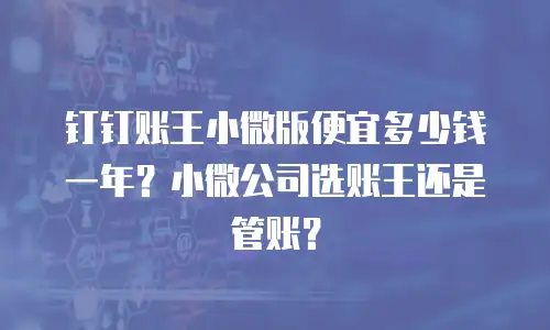 钉钉账王小微版便宜多少钱一年？小微公司选账王还是管账？