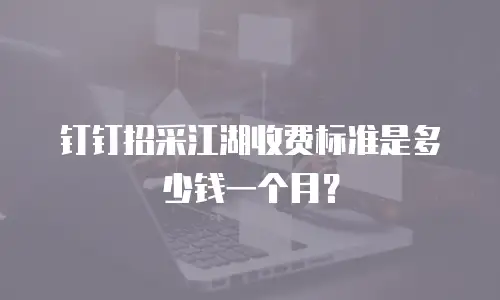 钉钉招采江湖收费标准是多少钱一个月？