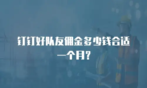 钉钉好队友佣金多少钱合适一个月？