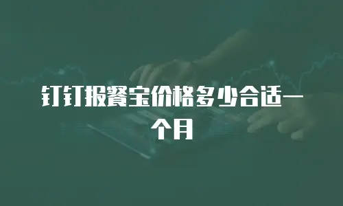 钉钉报餐宝价格多少合适一个月