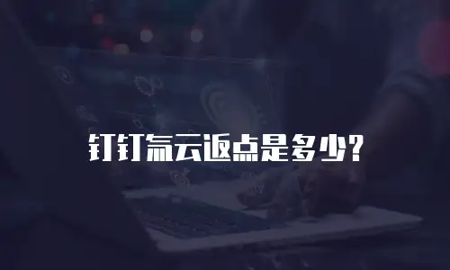 钉钉氚云返点是多少？