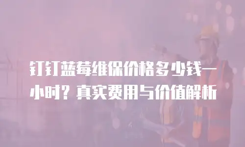 钉钉蓝莓维保价格多少钱一小时？真实费用与价值解析